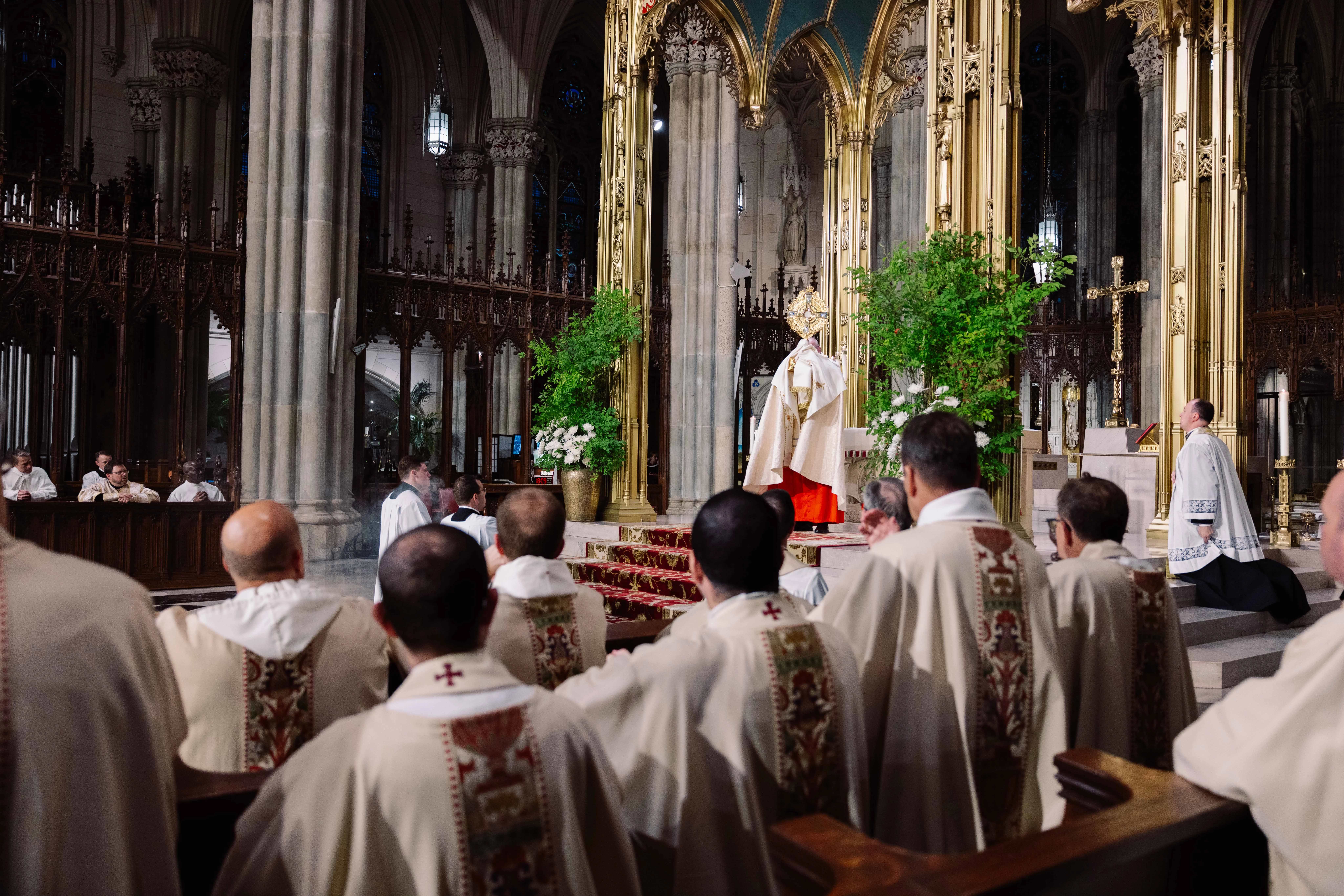 Georganiseerd door het in Californië gevestigde Napa Institute, verzamelde een menigte van naar schatting 5.000 mensen zich in de St. Patrick’s Kathedraal in Manhattan voor een Heilig Uur, Mis en processie op 14 oktober 2025. Credit: Zach Fiedler/Napa Institute