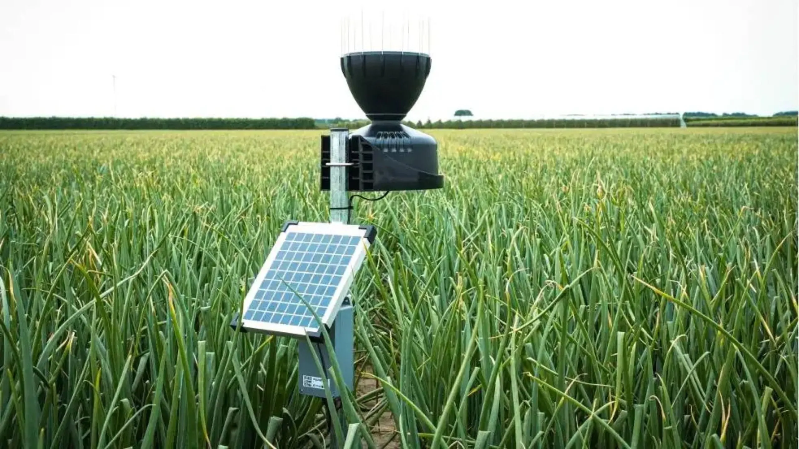 The rise of AgriTech Startups
