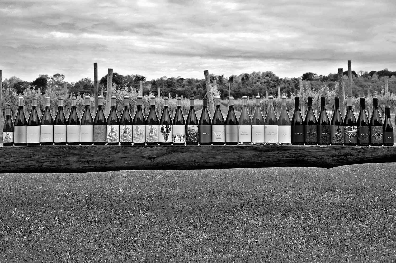 An array of Channing Daughters Winery bottles lined up on a rustic wooden beam, with a verdant vineyard in the background.