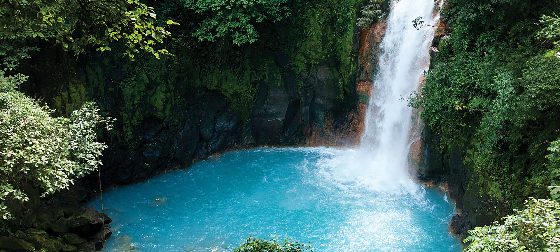 waterfall surrounded by trees