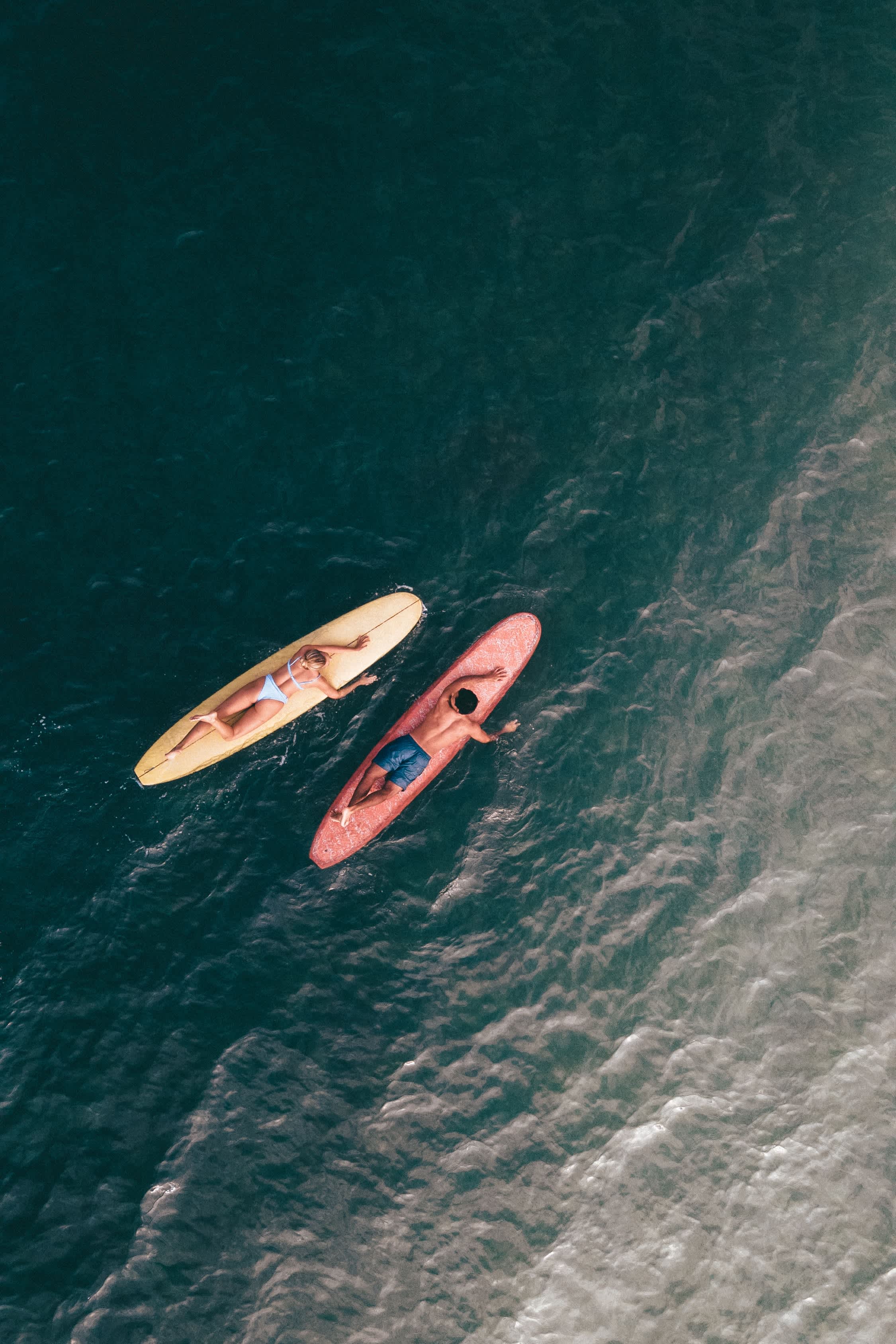 Two people paddle-boarding.
