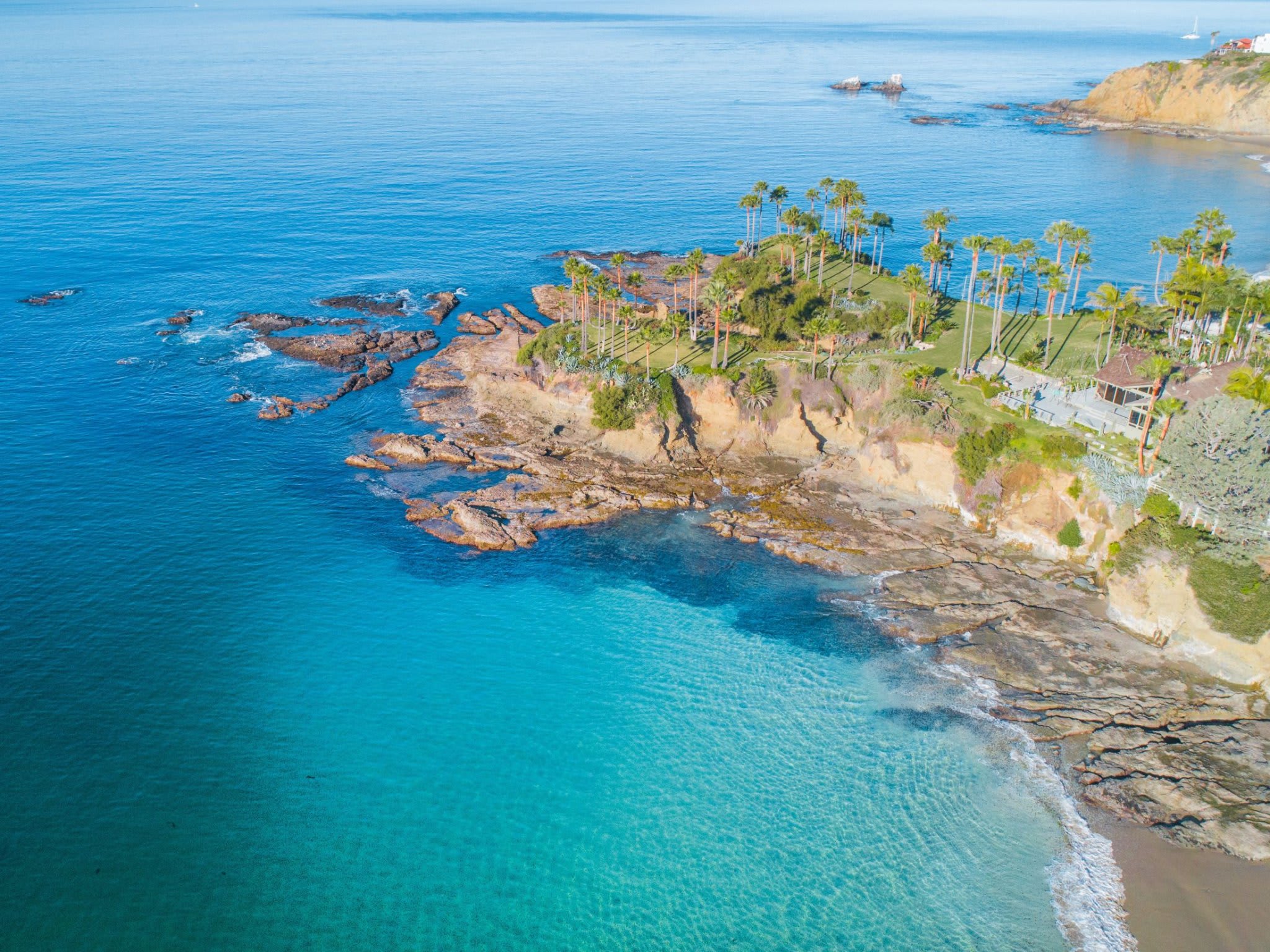 Aerial view of a rocky coastline in Laguna Beach with clear turquoise waters and palm trees dotting the cliffside.