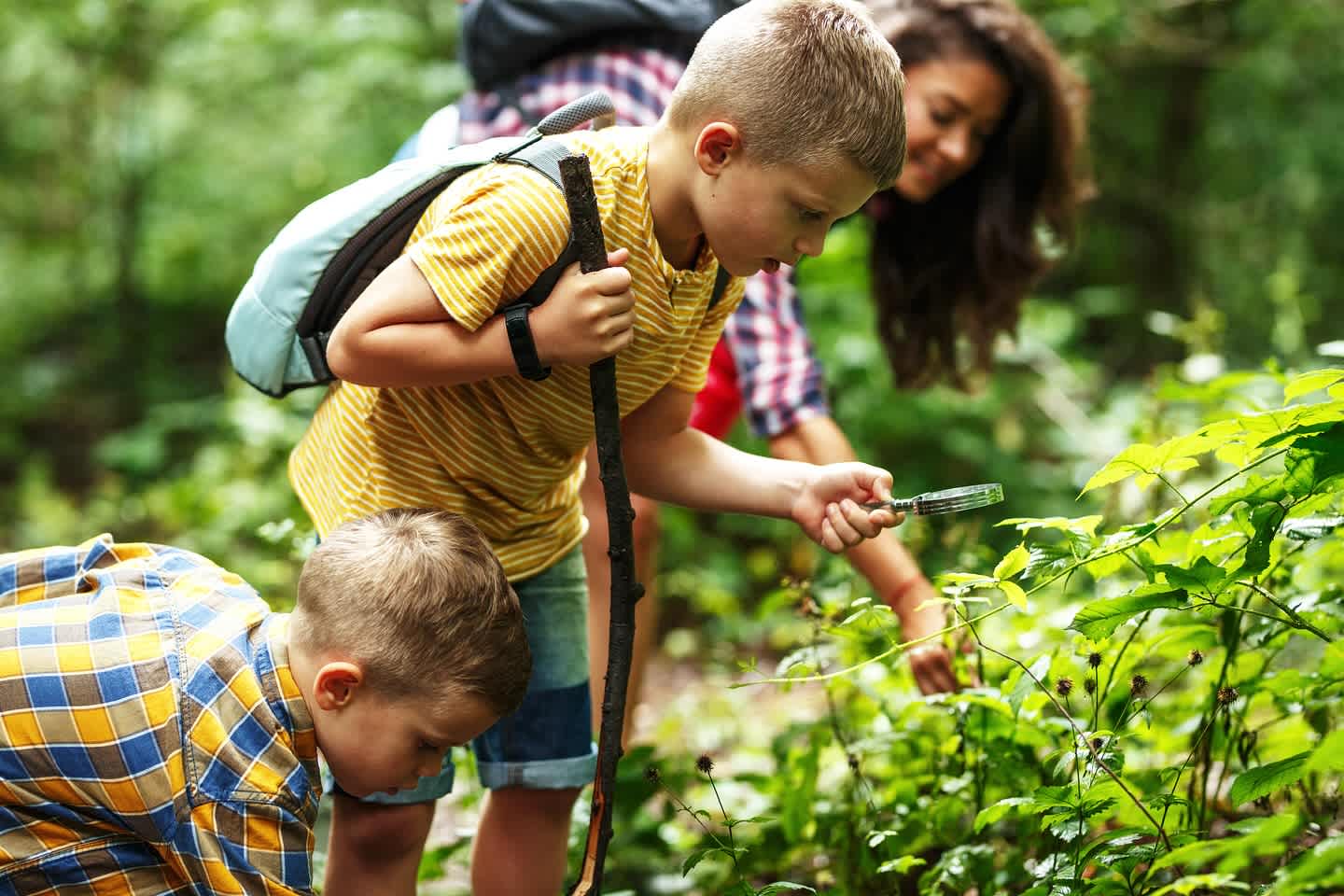 Children exploring nature with a magnifying glass in a lush forest.