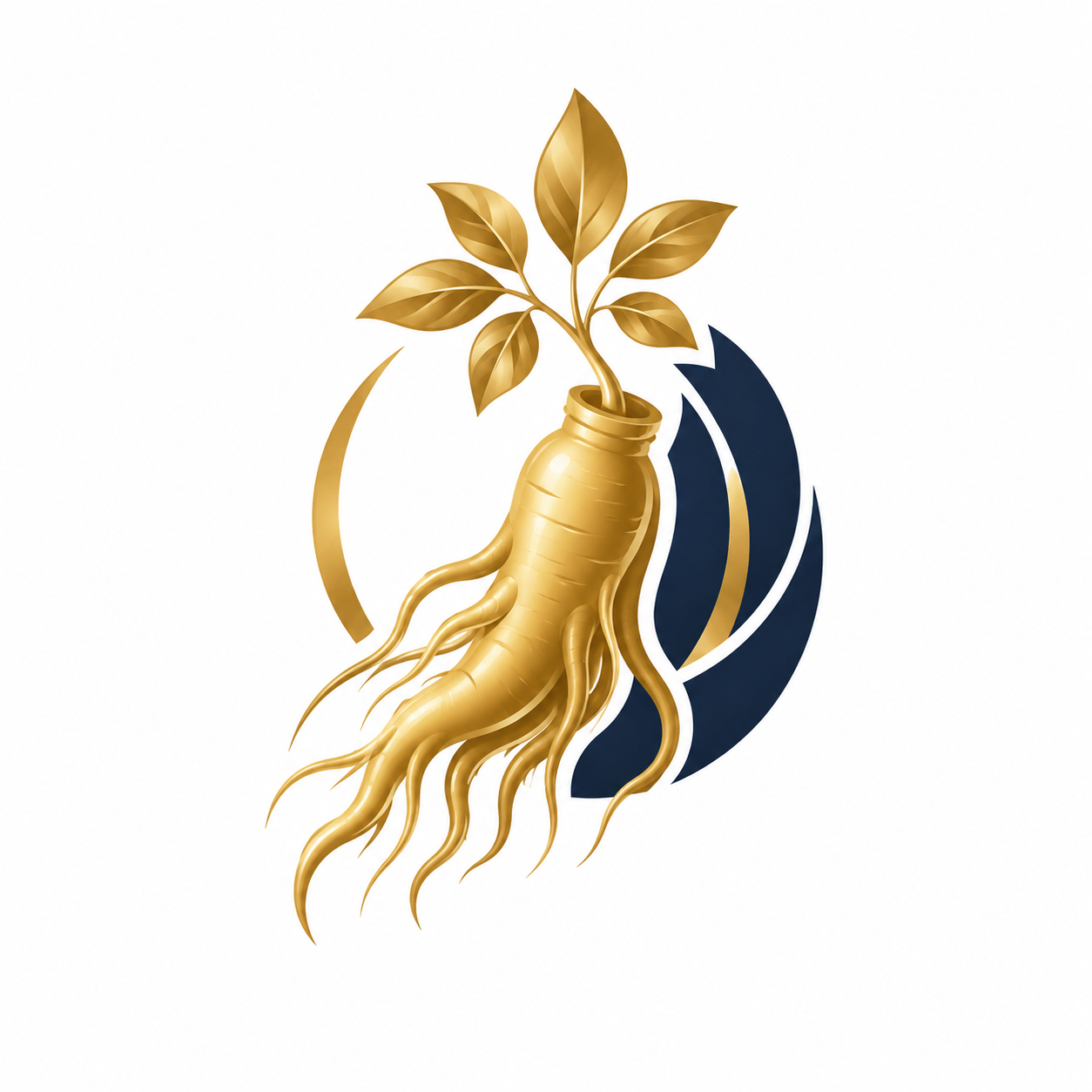 Panax Ginseng