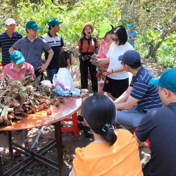 Du lịch Cồn Sơn miệt vườn