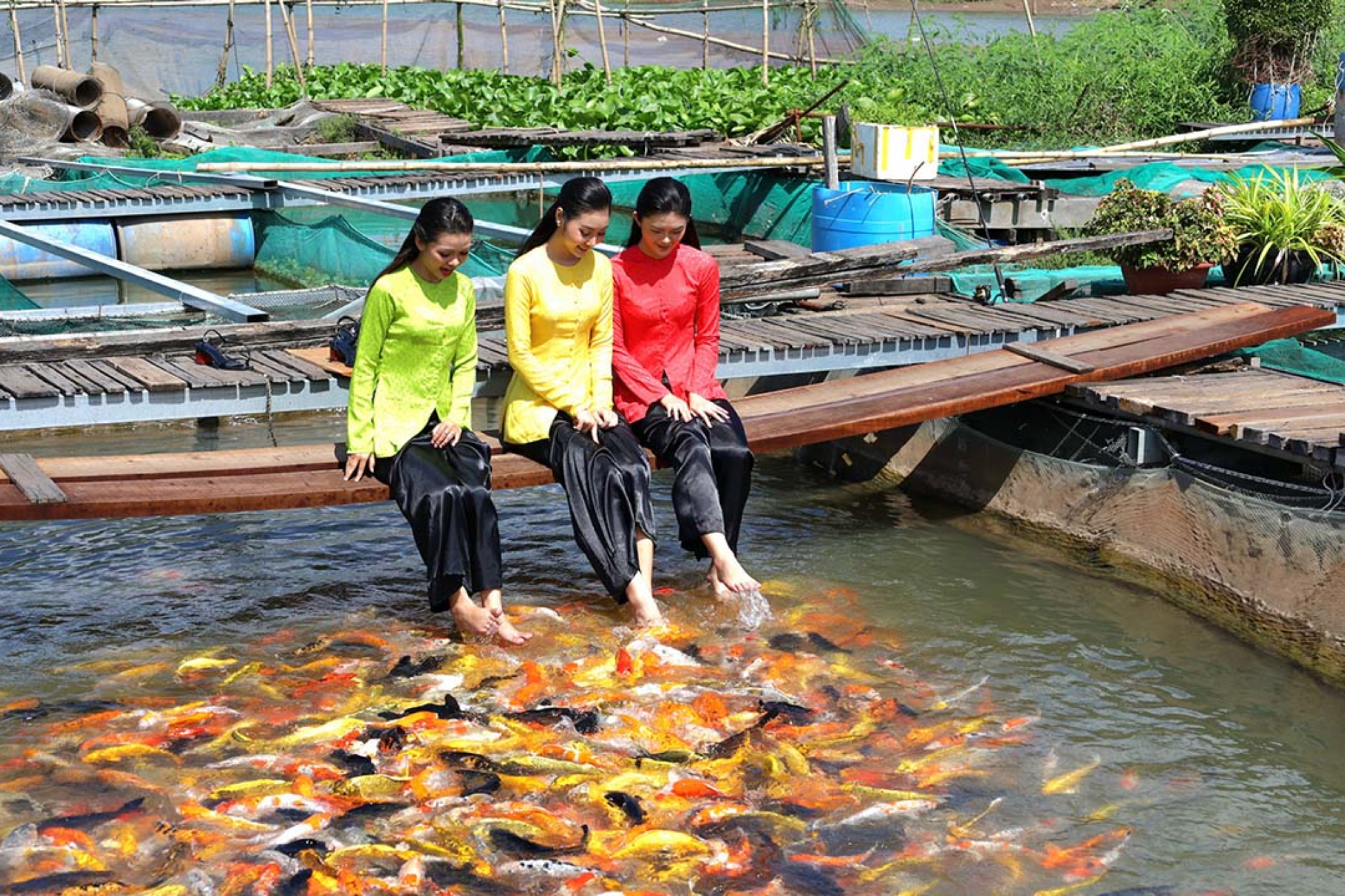 Cồn Sơn