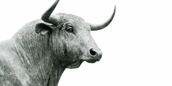 Comment minimiser les risques lors d’investissements financiers en entreprise ?