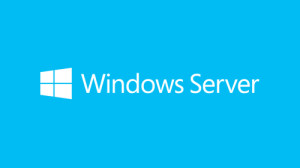 Microsoft, OEM Win Svr 2019 Eng 5 Clt User CAL Microsoft, OEM Win Svr 2019 Eng 5 Clt User CAL