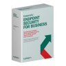 - Advanced 250-499 3yr EduRen