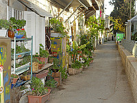 שכונת נחלאות בירושלים