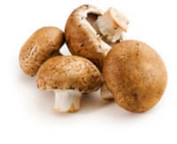 פטריות- טובות לאסטמה, אלרגיות, בעיות כולסטרול.