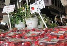 Uri Rabinovich Tzofit