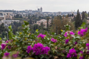 מסעדת הגג נוטרדאם