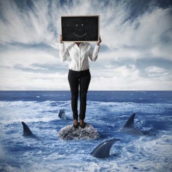 כרישים צמאי דם - עיתונאי ברקודה (תמונת אילוסטרציה)