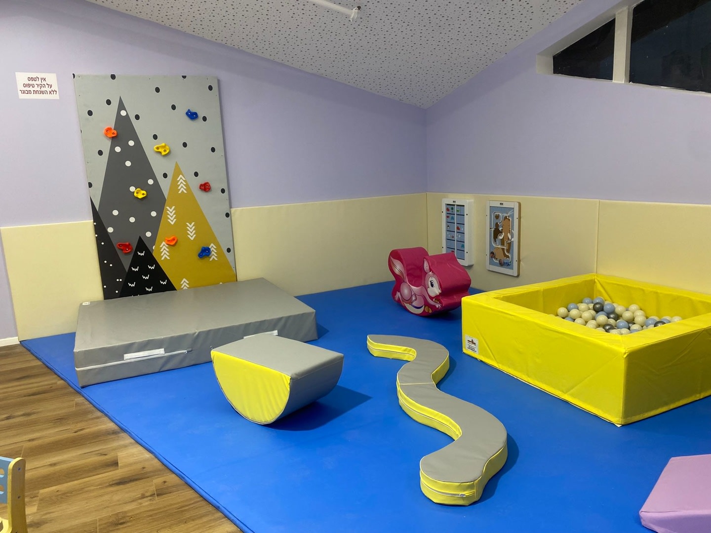 קירות טיפוס מעוצבים