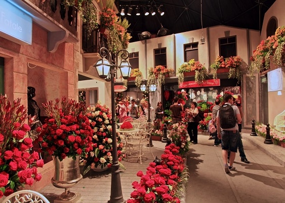 אתרים ליד השוק