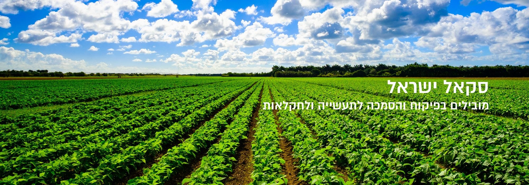 שירותי-מעבדה