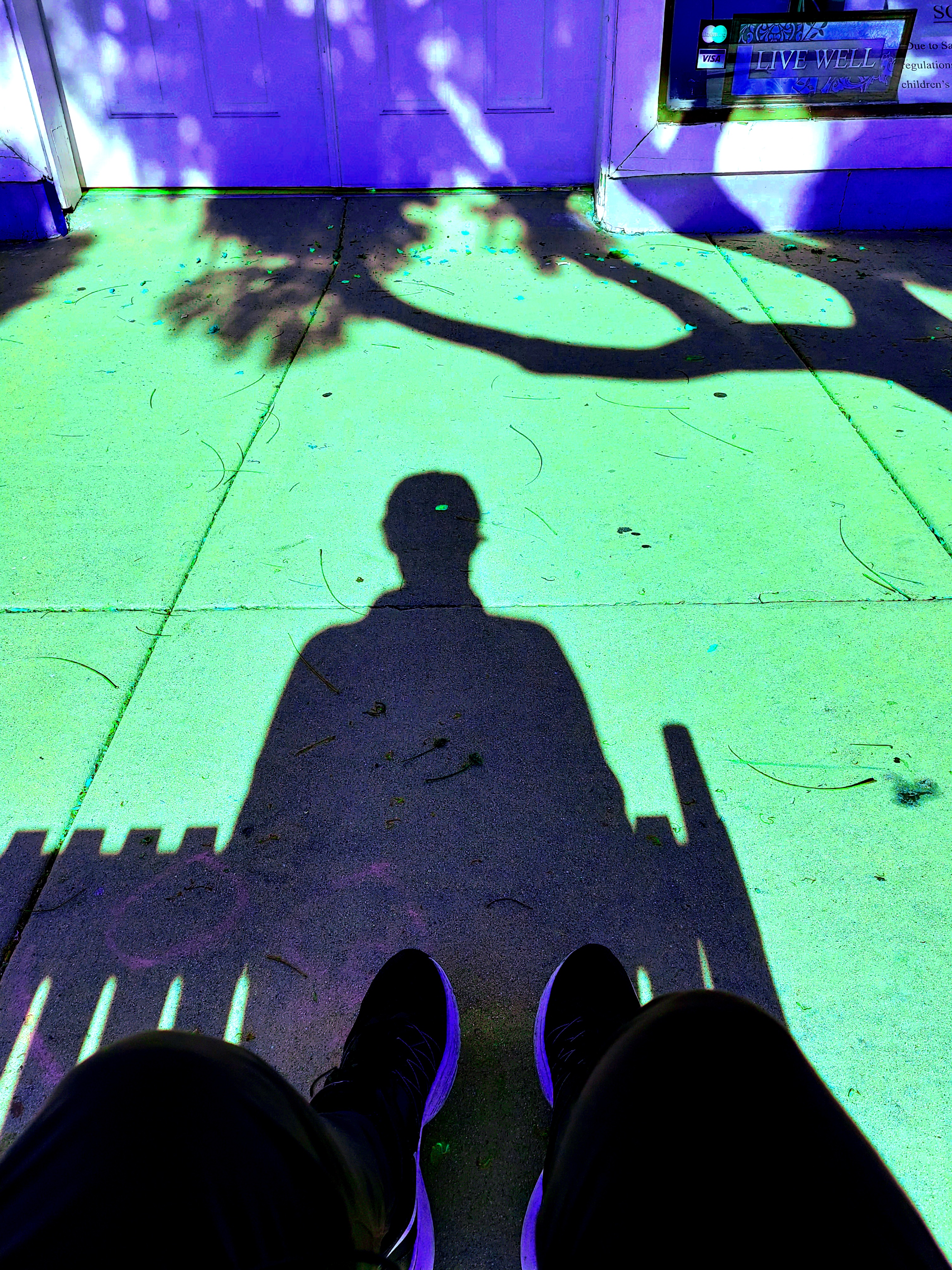 A high-contrast art photograph taken from a first-person perspective, looking down at the viewer's dark pants and black athletic shoes seated on a slatted bench. The person's silhouette is projected as a distinct dark shadow onto a vivid lime-green pavement, alongside dappled tree branch shadows. In the background, white double doors and a window with a sign reading LIVE WELL are bathed in an intense purple glow.