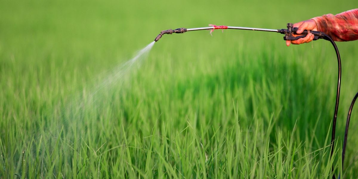 Experts Reveal Five Alternatives to Pesticides