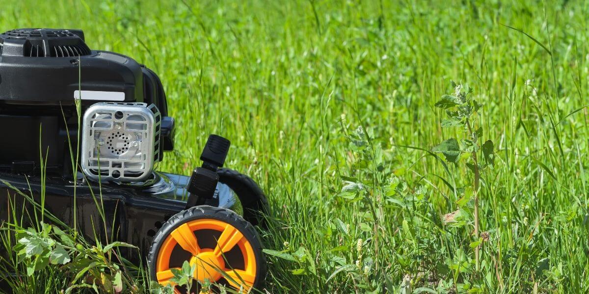 The Best Tool For Cutting Tall Grass An Amazing list For Gardeners