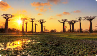Best Time to Go to Madagascar - Climate, Weather, Where to Go? - Where And  When
