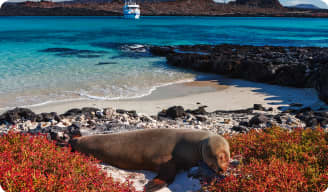 Best time to travel to Ecuador