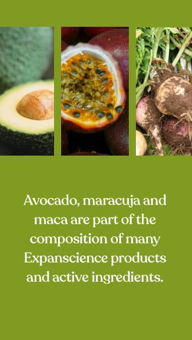Avocado, maracuja and maca are part of the composition of many Expanscience products and active ingredients.