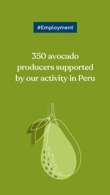 #Employment: 350 avocado producers supported by our activity in Peru