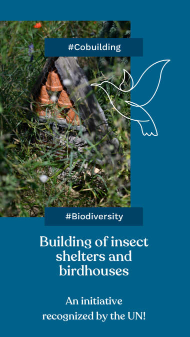 #Cobuilding #Biodiversity  - Building of insect shelters and birdhouses   An initiative recognized by the UN!