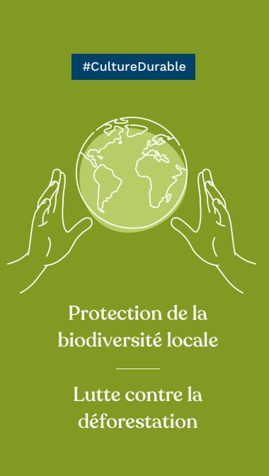 #CultureDurable Protection de la biodiversité locale Lutte contre la déforestation