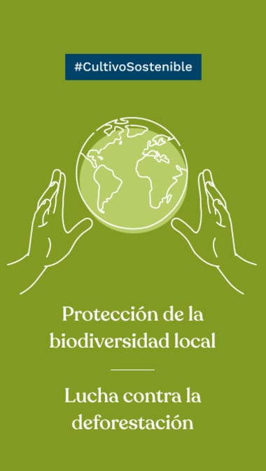 #CultivoSostenible Protección de la biodiversidad local Lucha contra la deforestación