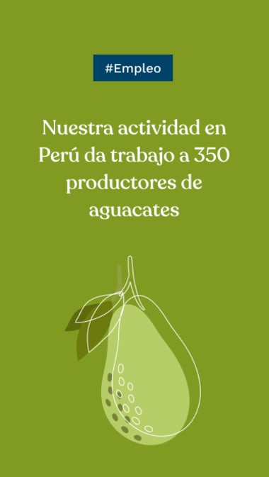 #Empleo: Nuestra actividad en Perú da trabajo a 350 productores de aguacates