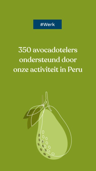 #Werk: 350 avocadotelers ondersteund door onze activiteit in Peru  