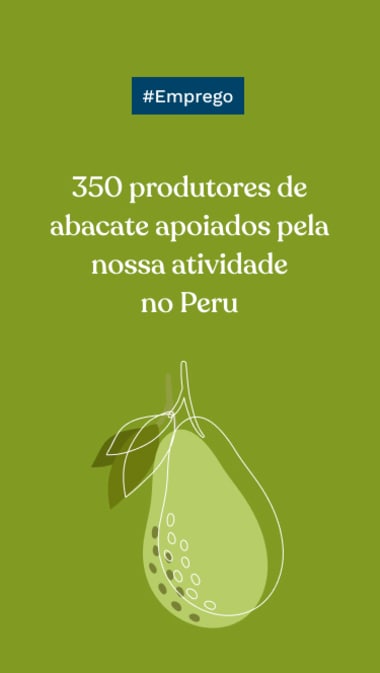 #Emprego: 350 produtores de abacate apoiados pela nossa atividade no Peru