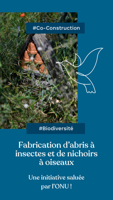 #Co-construction #Biodiversité  - Fabrication d’abris à insectes et de nichoirs à oiseaux   Une initiative saluée par l’ONU !