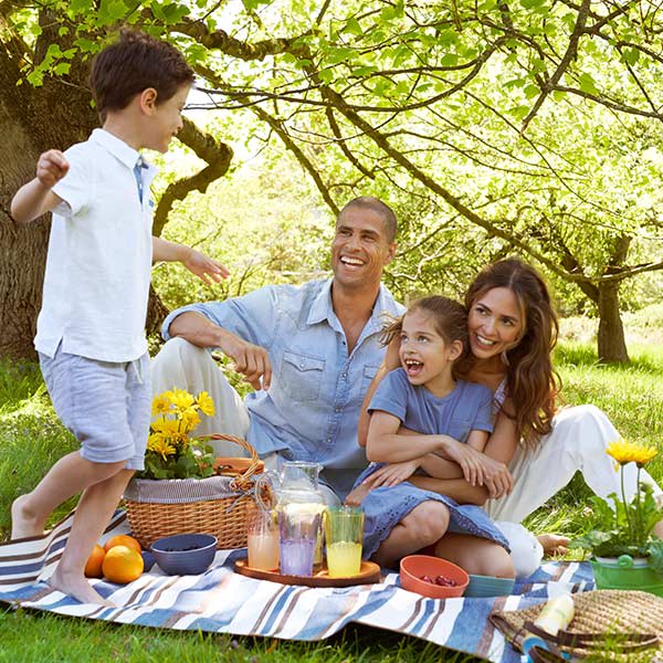 Familia con 2 niños de picnic