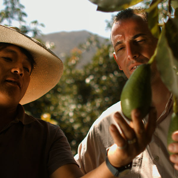 An Expanscience employee with a Peruvian avocado producer