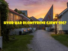 Romsdalsmuseet hovedbilde blomsterjakt