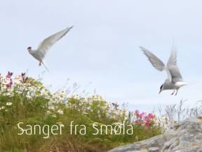 Sanger fra Smøla 1