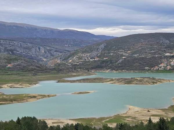 Ricice (Zeleno jezero)