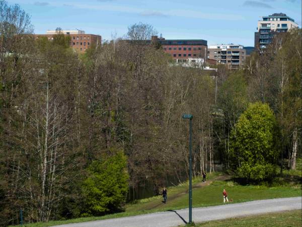 Tandbergs radiofabrikk