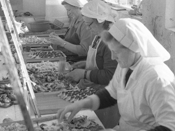 Vikan handelssted og hermetikkfabrikk