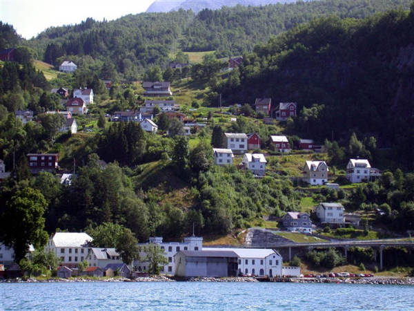 Dyrkorn