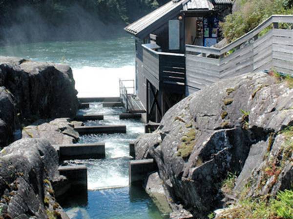 09-Laksestudioet på sand 01