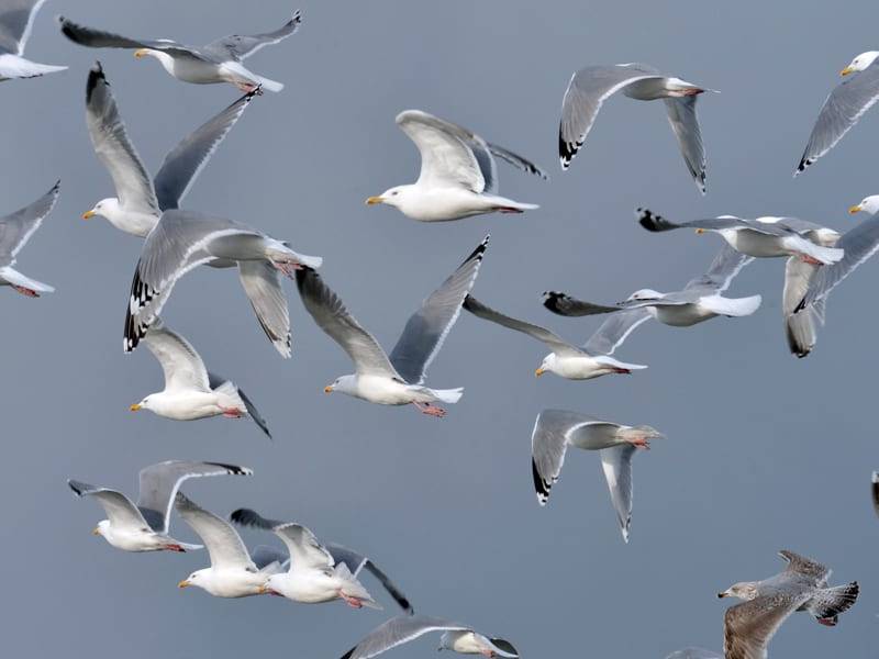 08C655A0-F697-4967-AE24-7CFE0EF81AE0