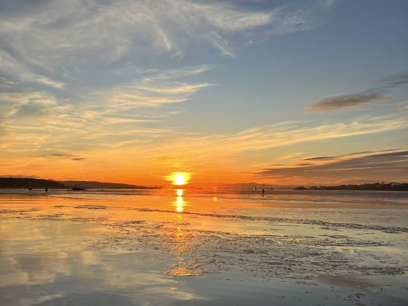 EE4F725B-6F3F-43D2-94AB-85CB5DA95A5C