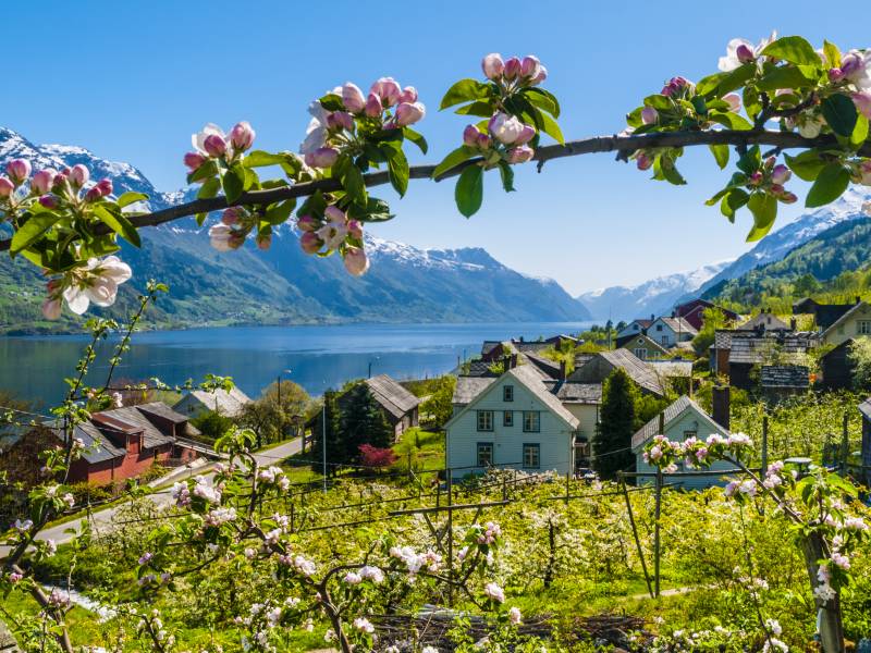 Agatunet ved Sorfjorden i Hardanger