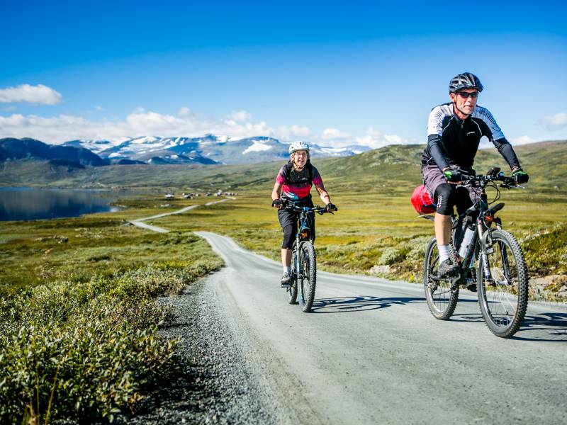 Mjølkevegen syklister