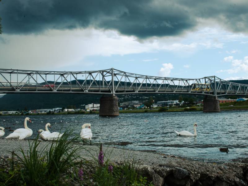 Mjødalen Elv og bru