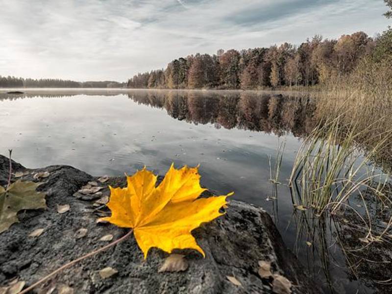 Gautvik Steinindustri